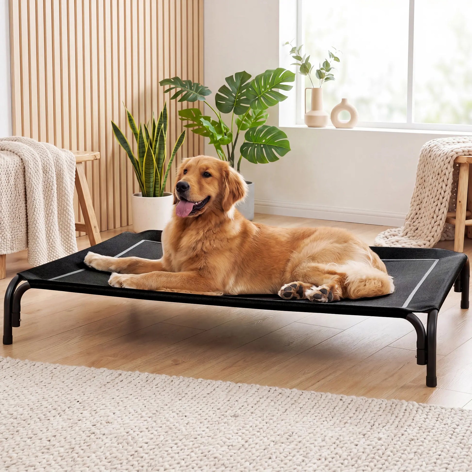 VALUXE Elevated Dog Bed for Large Dogs - Cooling Pet Cot with Breathable Mesh and Durable Frame, Easy to Clean Raised Pet Mat for Indoor and Outdoor Use
