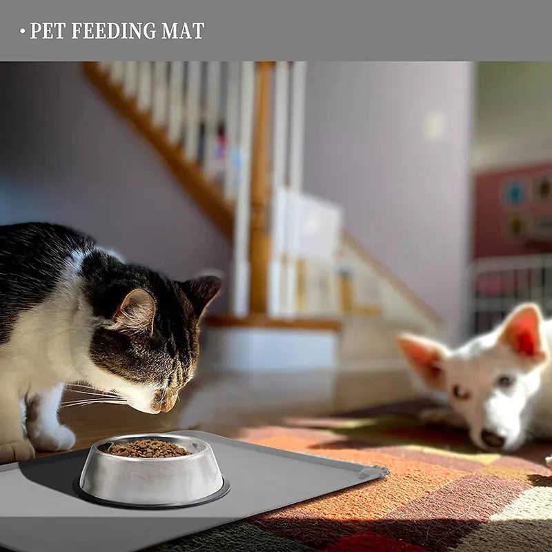 Waterproof Silicone Pet Feeding Mat - Single Count, Essential Feeding Accessory for Dogs and Cats