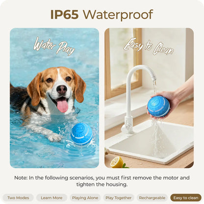 Apasiri Vibrating Dog Ball Toy - Automatic Moving Ball for Small, Medium, and Large Dogs, USB Rechargeable, Suitable for Cats and Dogs (Sizes: 3.15 inches for Medium Dogs / 3.74 inches for Large Dogs)