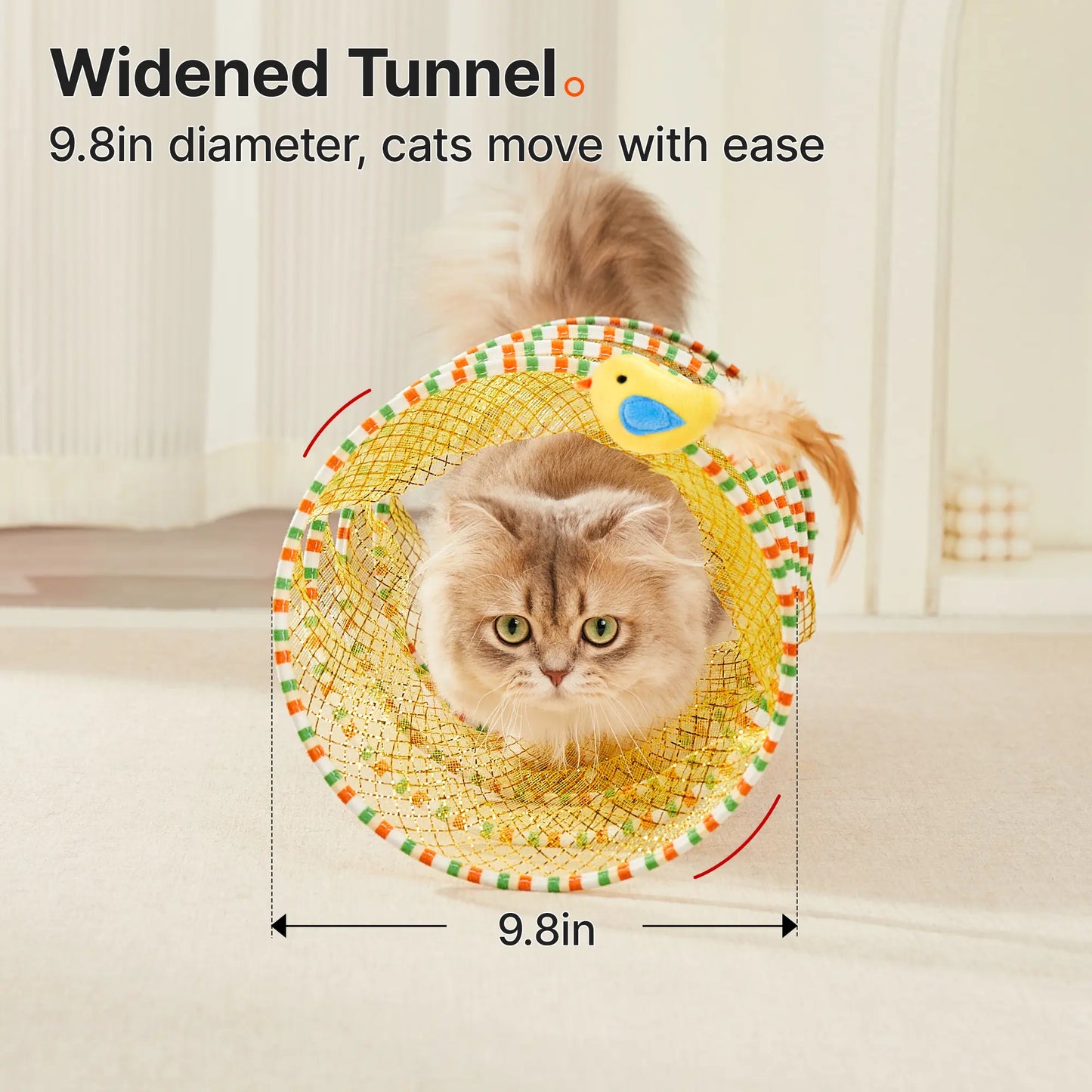 Spiral-Cat