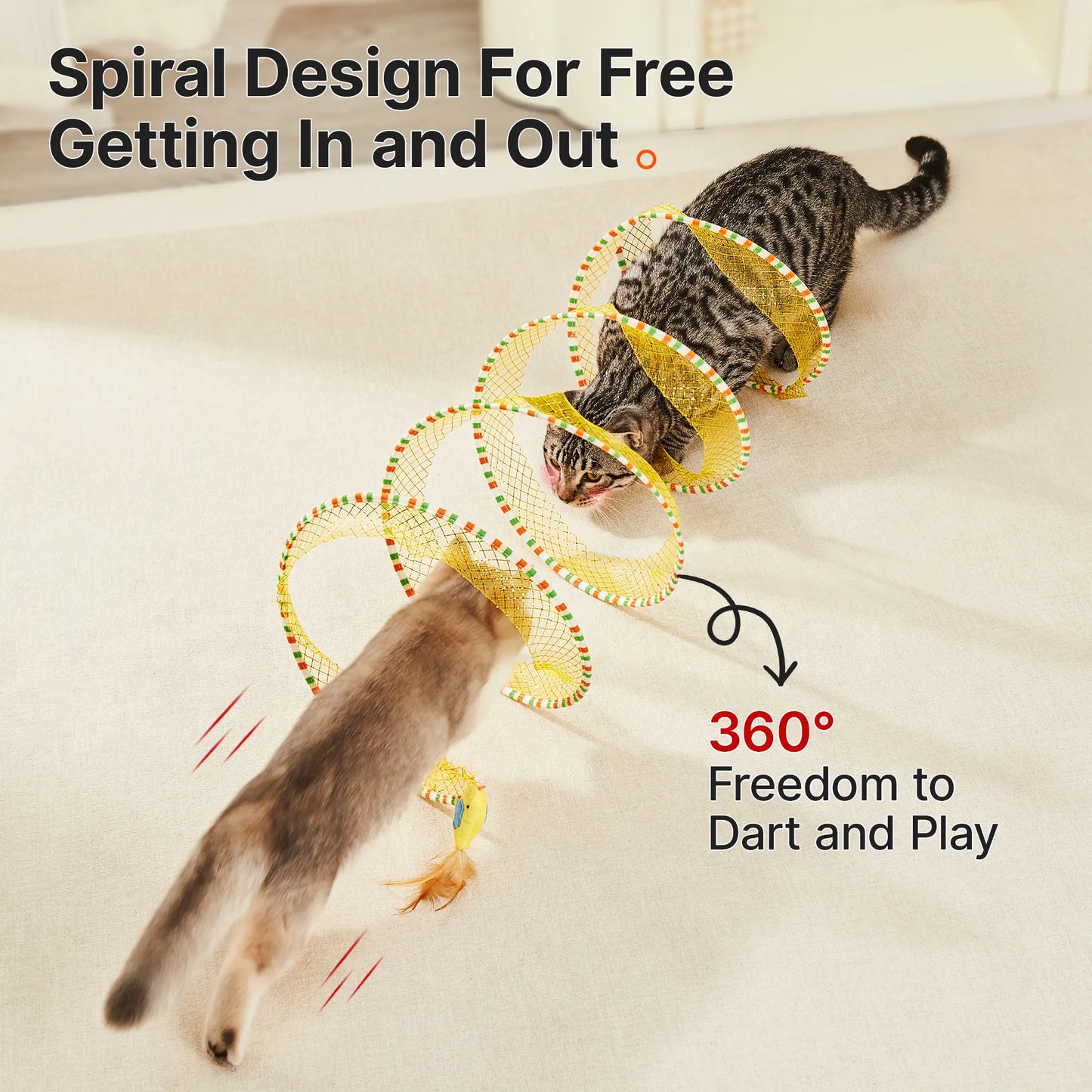 Spiral-Cat