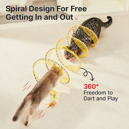 Spiral-Cat