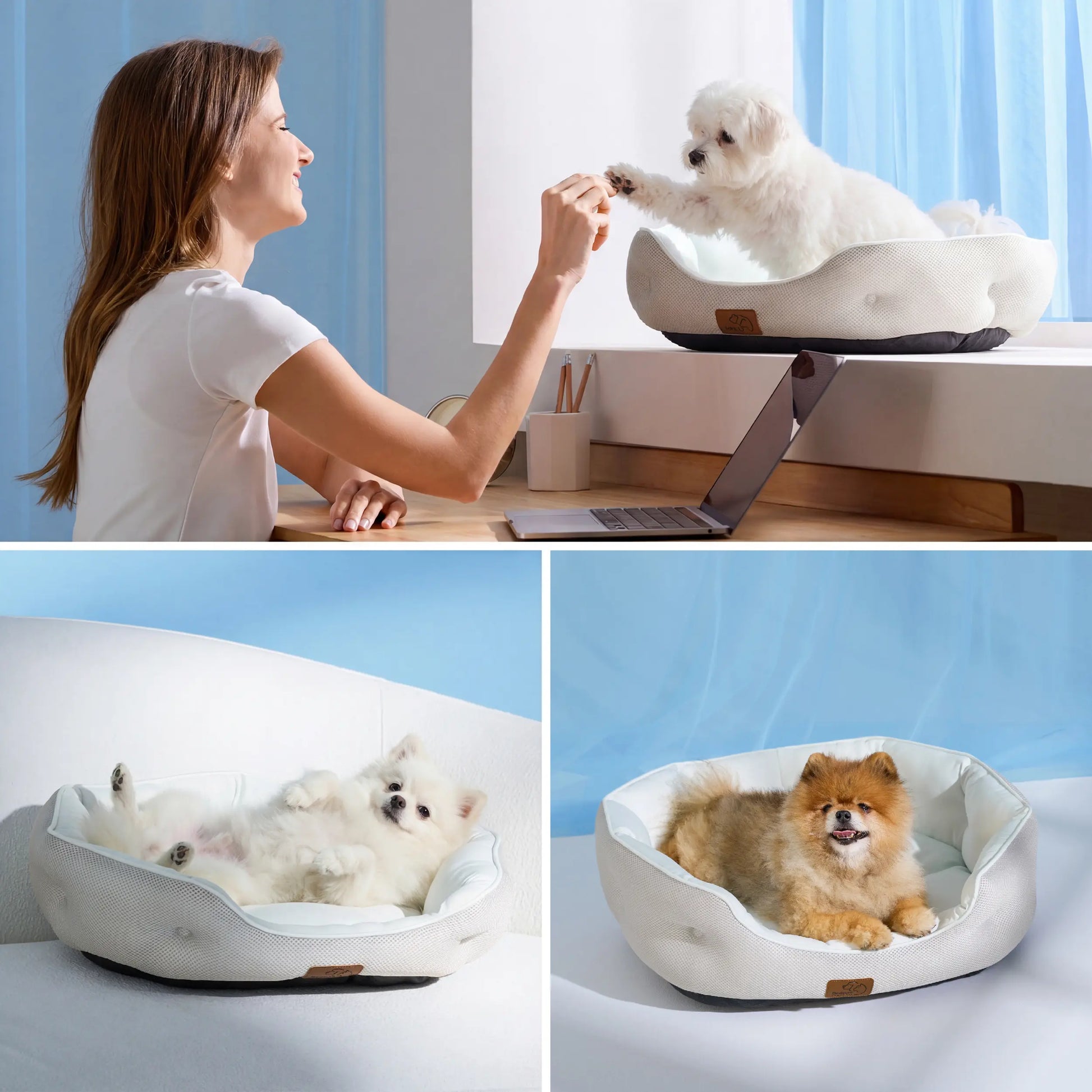 Bedsure Cooling Dog Beds for Small Dogs – Q-MAX>0.4 Round Cat Beds for Indoor Use, Washable Pet Bed for Puppies and Kittens with Slip-Resistant Bottom