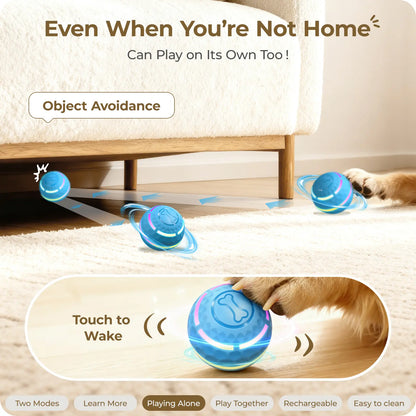 Apasiri Vibrating Dog Ball Toy - Automatic Moving Ball for Small, Medium, and Large Dogs, USB Rechargeable, Suitable for Cats and Dogs (Sizes: 3.15 inches for Medium Dogs / 3.74 inches for Large Dogs)