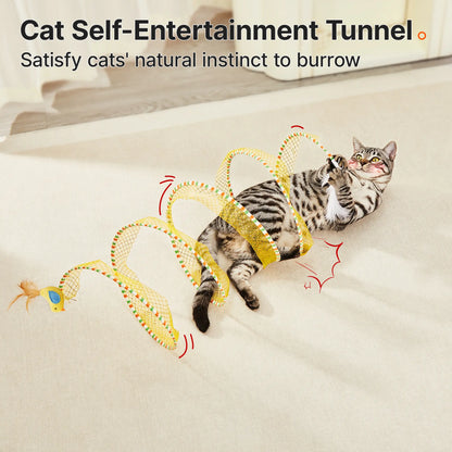 Spiral-Cat