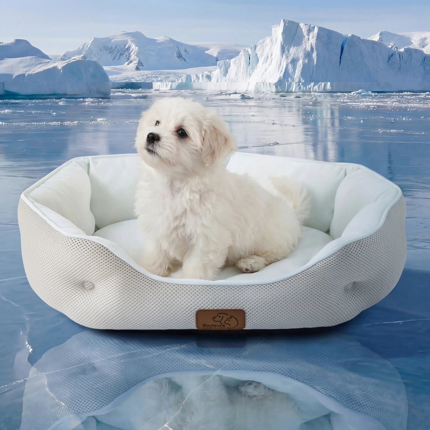 Bedsure Cooling Dog Beds for Small Dogs – Q-MAX>0.4 Round Cat Beds for Indoor Use, Washable Pet Bed for Puppies and Kittens with Slip-Resistant Bottom