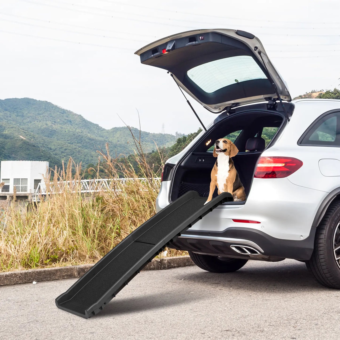 NOVA 62-In Foldable Non-Slip Dog Ramp, 150LBS Capacity for Puppies & Trucks, Easy Access, Safe Loading, Easy Storage, Black